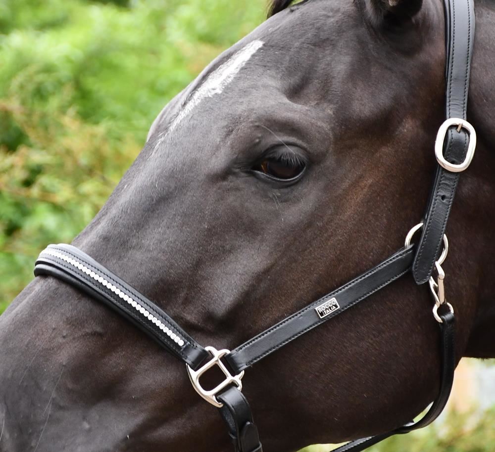 Rhinegold Rocco Italia Milano Leather Headcollar