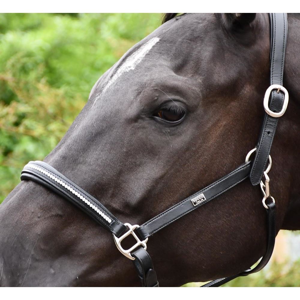 Rhinegold Rocco Italia Milano Leather Headcollar