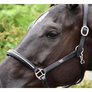 Rhinegold Rocco Italia Milano Leather Headcollar