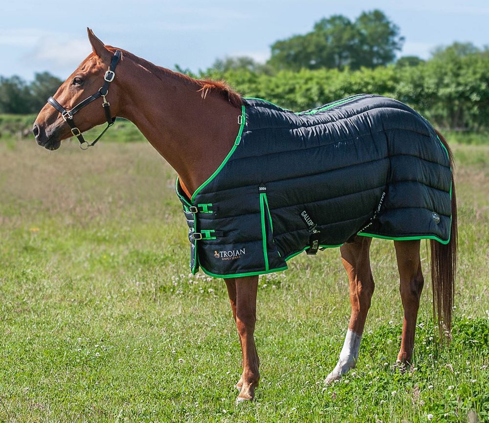 Gallop Trojan Dual 300 Stable Rug & Neck Set (Black/Green)