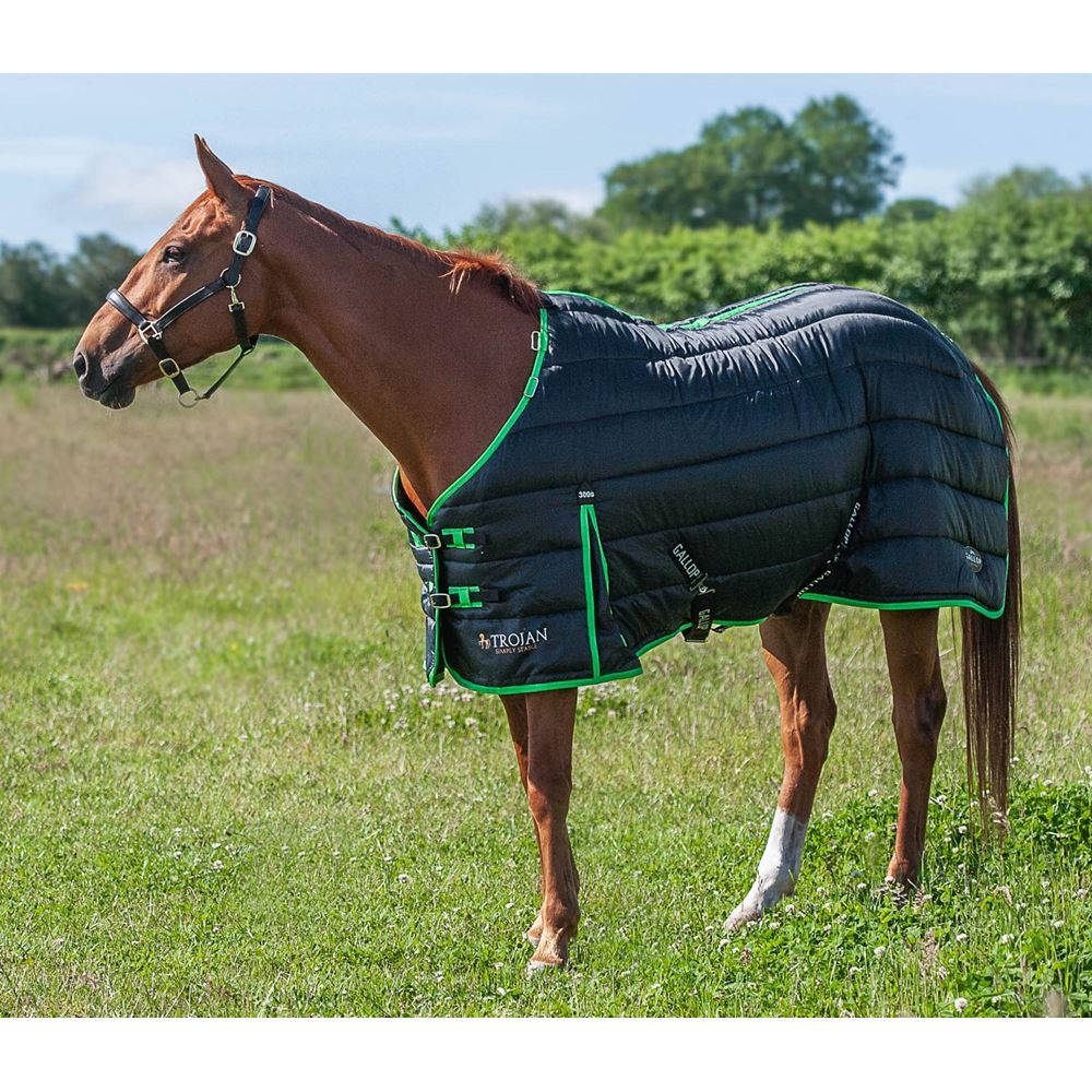 Gallop Trojan Dual 300 Stable Rug & Neck Set (Black/Green)