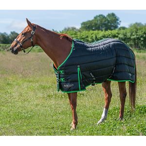 Gallop Trojan Dual 300 Stable Rug & Neck Set (Black/Green)