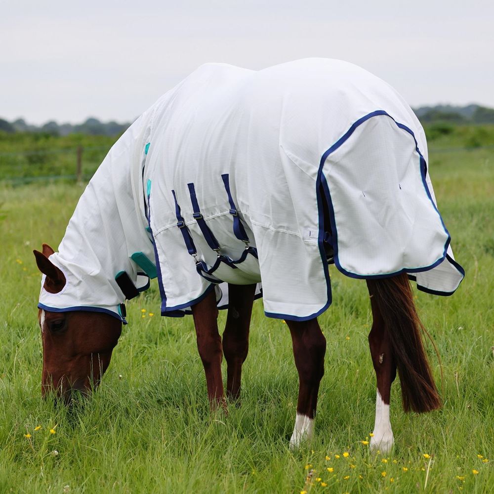 Shires Highlander Plus Sweet Itch Combo Fly Rug (White)