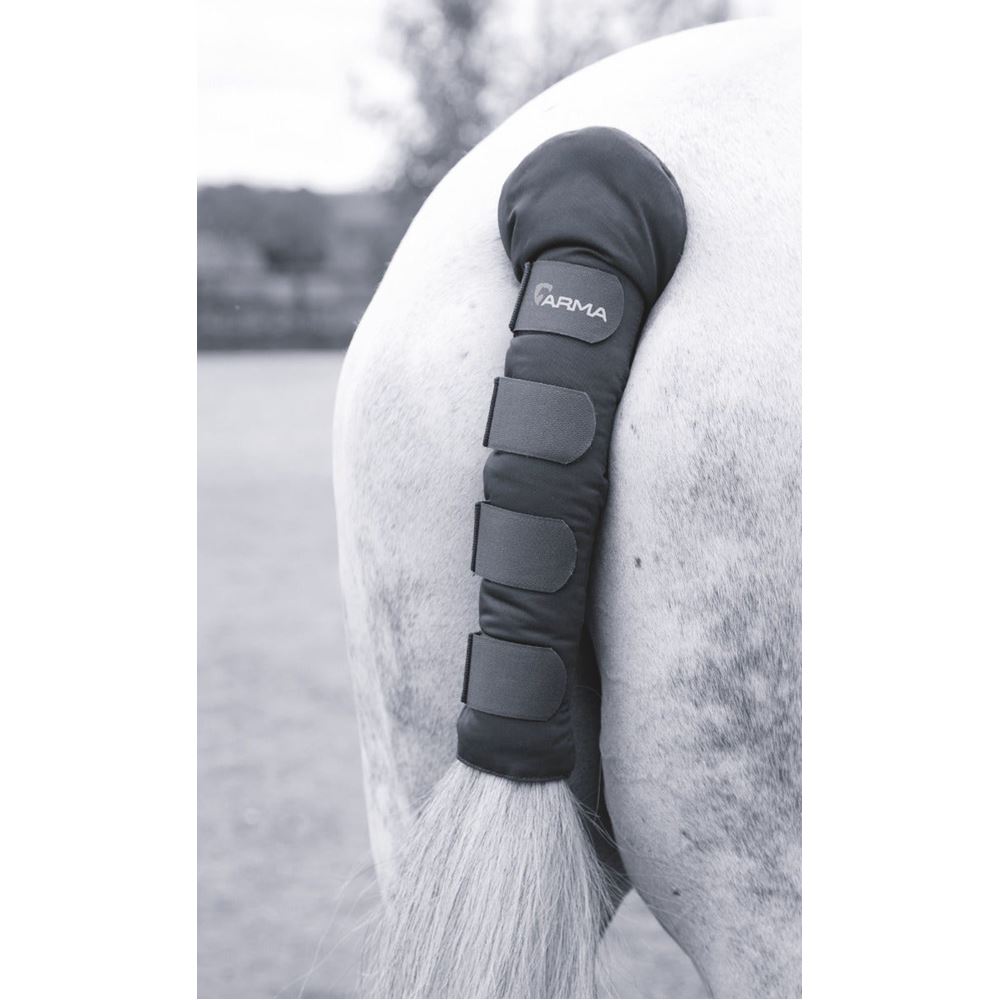 Shires ARMA Padded Tail Guard