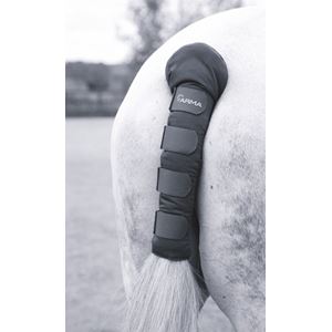 Shires ARMA Padded Tail Guard