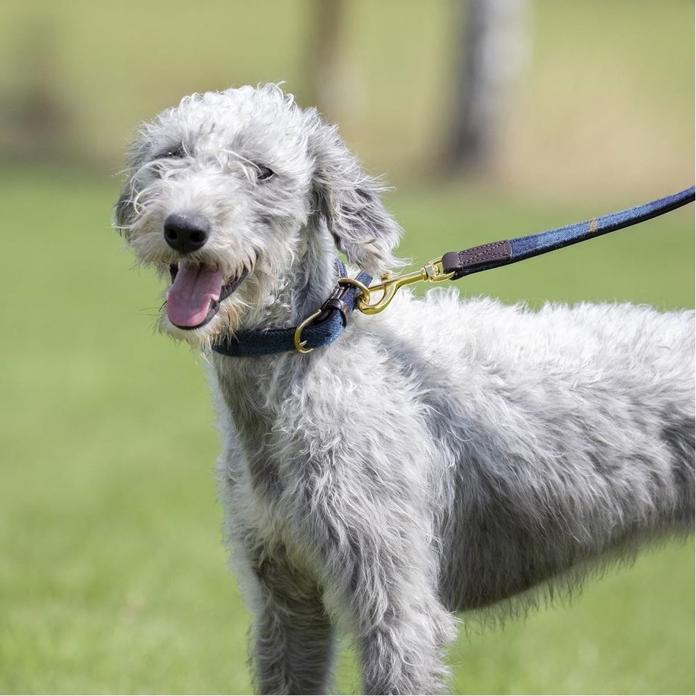 Shires Digby & Fox Tweed Dog Collar - XXS (Navy)