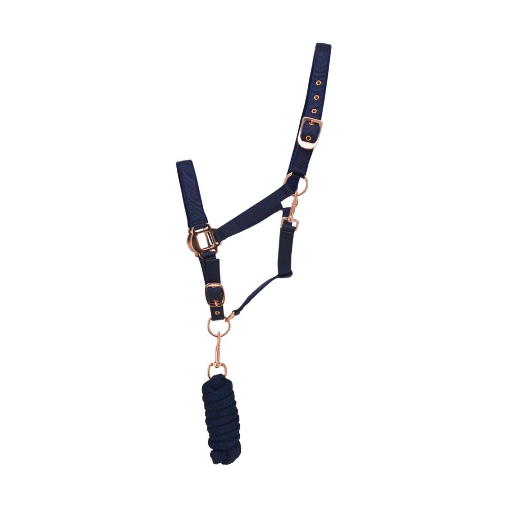 Hy Rose Gold Headcollar and Lead Rope