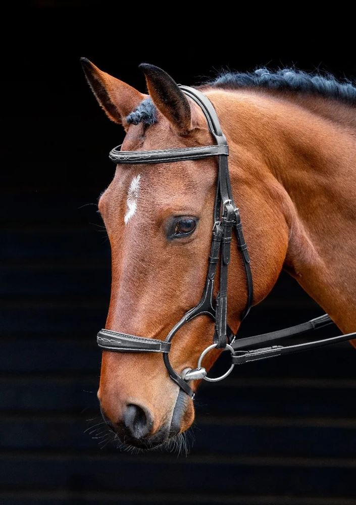 Shires Salisbury Brampton Bridle (Black)