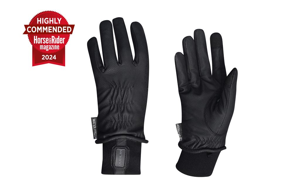 Dublin Synthetic Leather Thinsulate Waterproof Gloves
