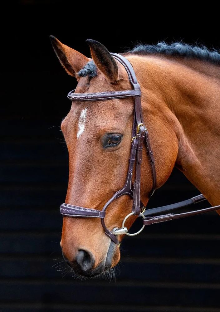 Shires Salisbury Brampton Bridle (Australian Nut)
