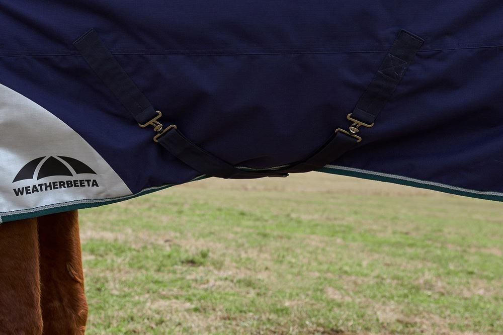 Weatherbeeta Comfitec Plus Dynamic Turnout Standard - 220g (Navy/Forest Green)