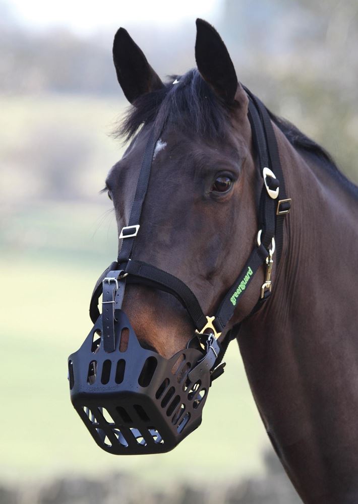 GreenGuard Halter