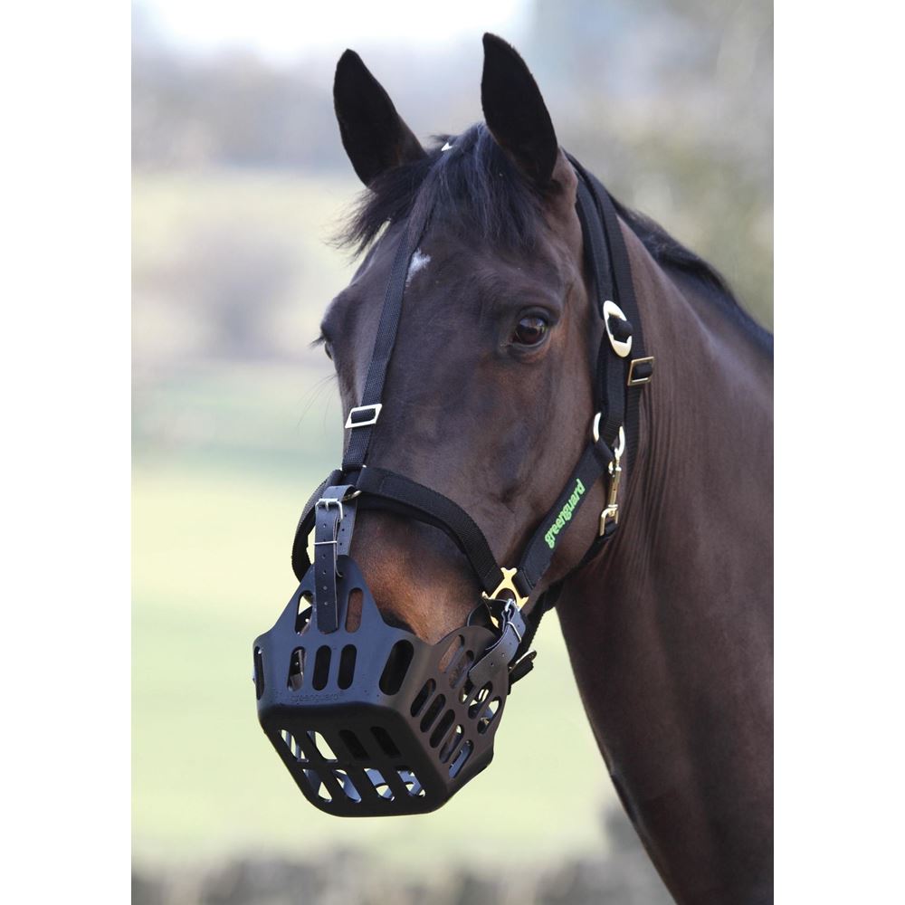 GreenGuard Halter