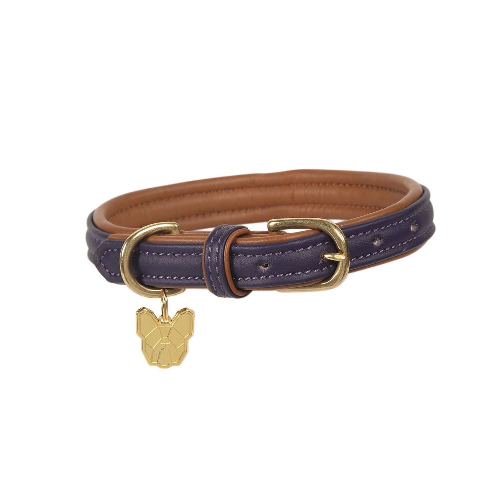 Shires Digby & Fox Padded Leather Dog Collar M - ML - L