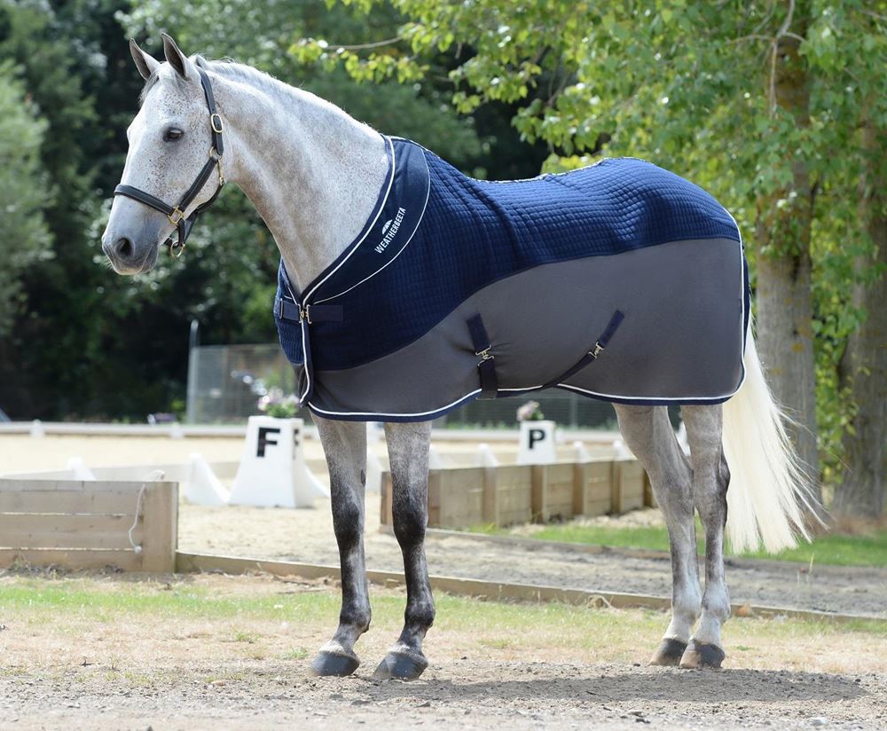 WeatherBeeta Thermo-Air Cooler Standard Neck (Navy/Grey)