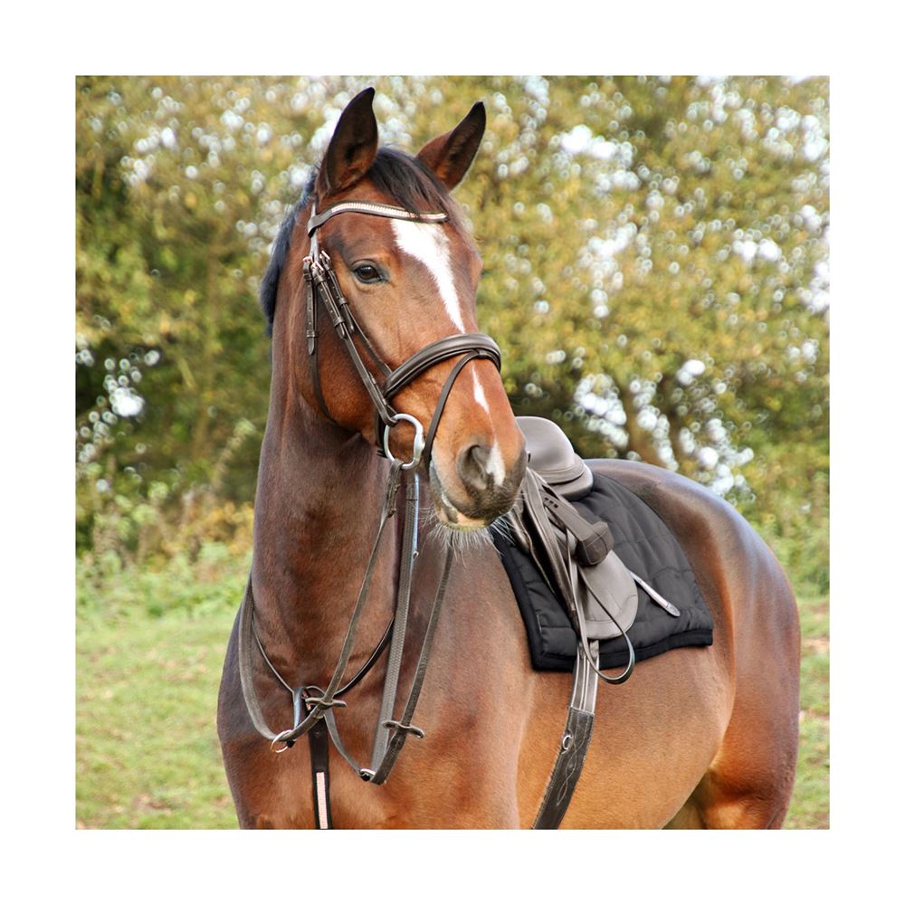 Hy Equestrian Rosciano Rose Gold Stirrup Leathers (Brown)