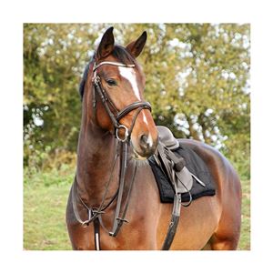 Hy Equestrian Rosciano Rose Gold Stirrup Leathers (Brown)