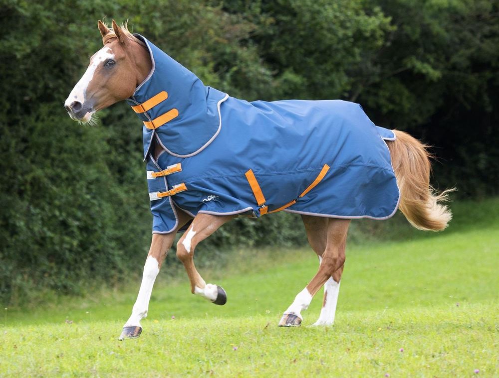 Shires Tempest Original Lite Turnout Rug & Neck Set (Teal)