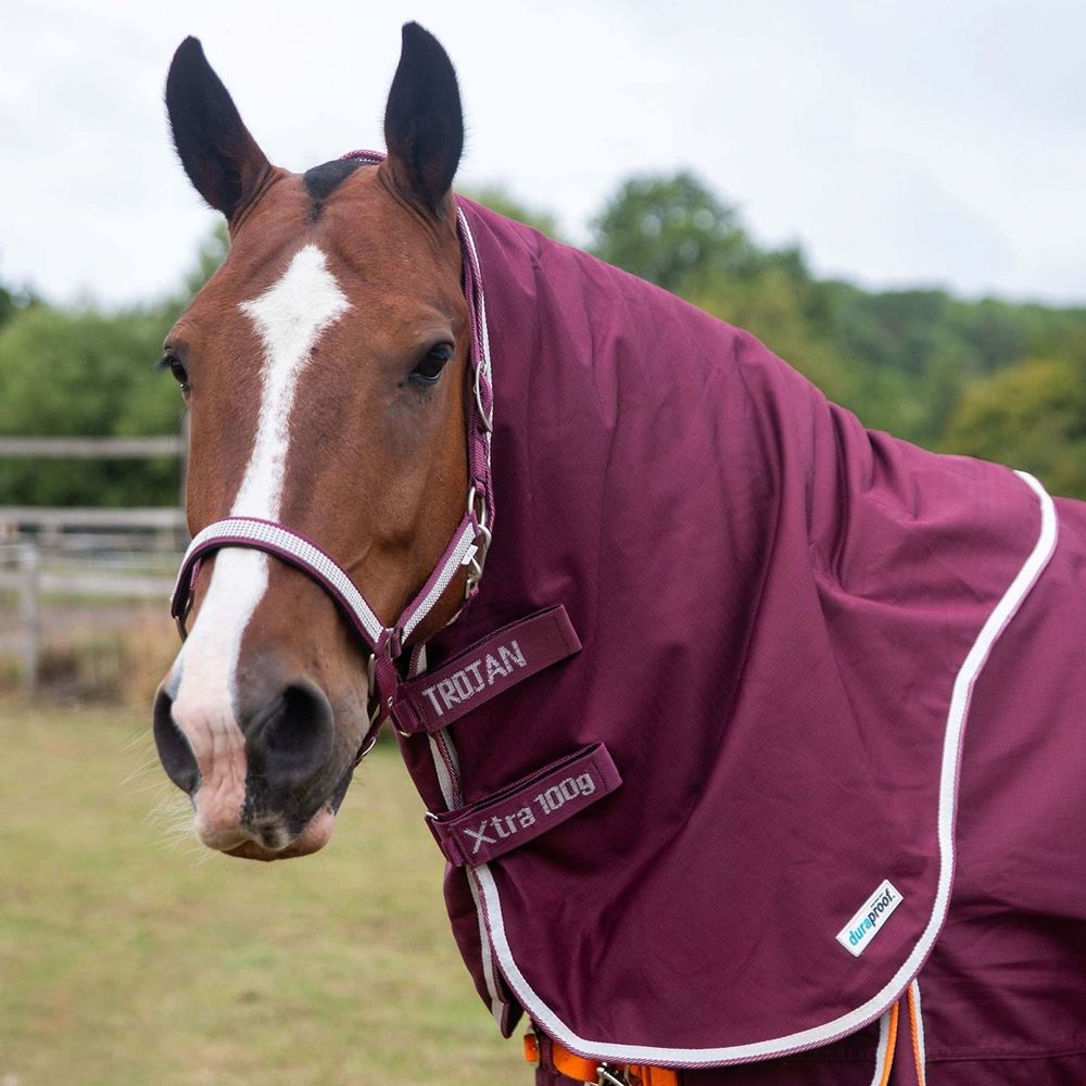 Gallop Trojan Xtra DURAPROOF 5 Point 100g Neck Cover (Burgundy/White)