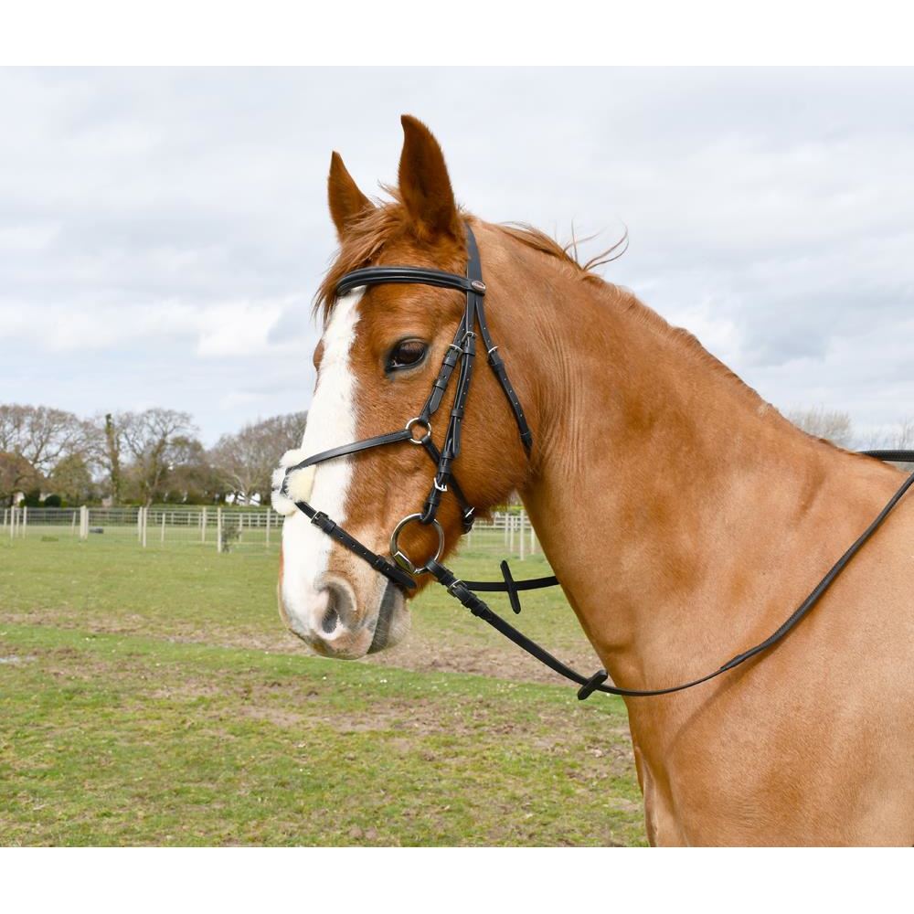 Windsor Mexican Bridle