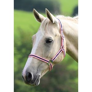 Shires Wessex Nylon Headcollar 