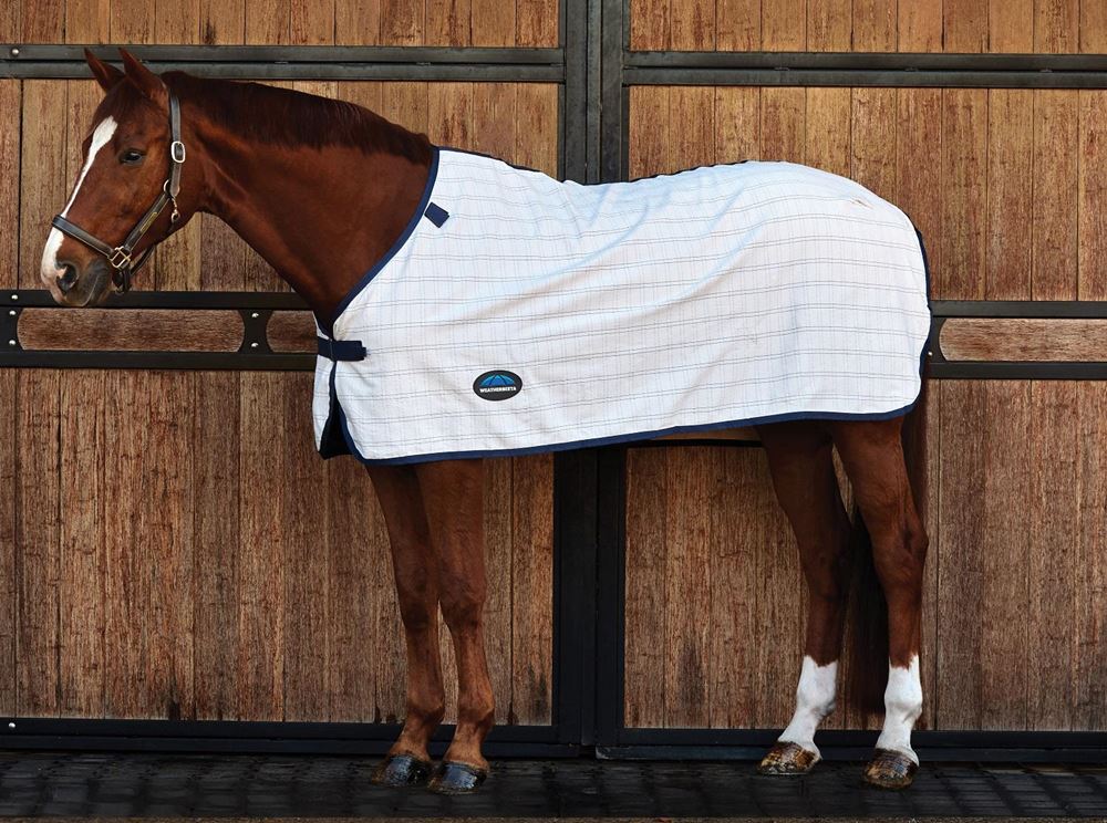 Weatherbeeta Comfitec Cotton Liner Sheet Standard (White/Navy)