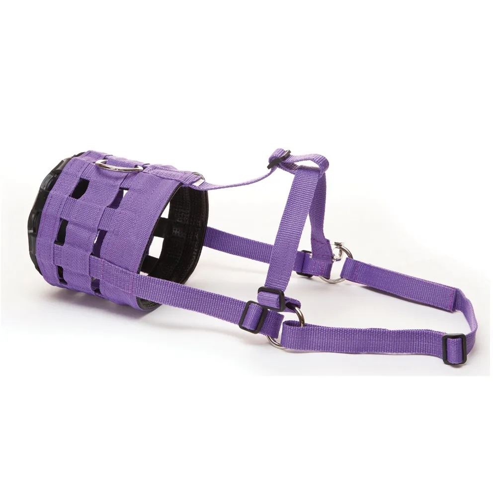 Hy Equestrian Muzzle (Purple)