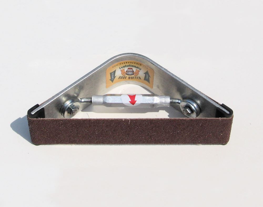 SPARE BELT - Radius Rasp Hoof Buffer Contour Sander 