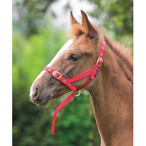Shires Nylon Foal Slip