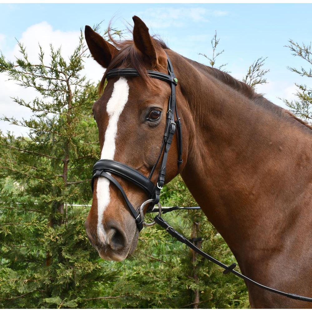 Rhinegold German Leather Comfort Bridle With Flash Noseband