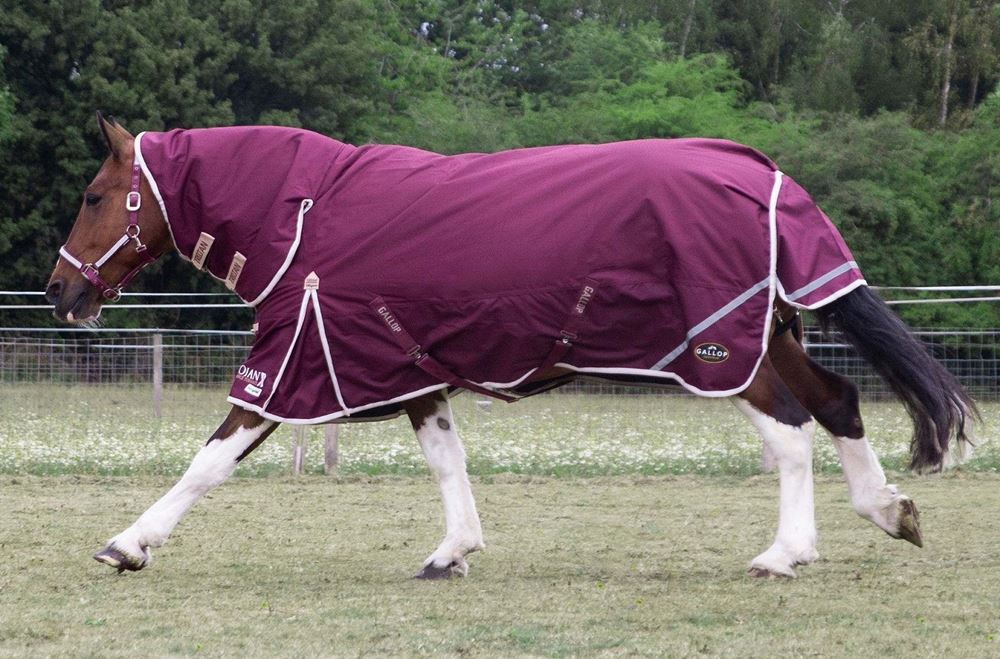 Gallop TROJAN Xtra Duraproof 100g Turnout Combo (Burgundy with Beige/White bindings)