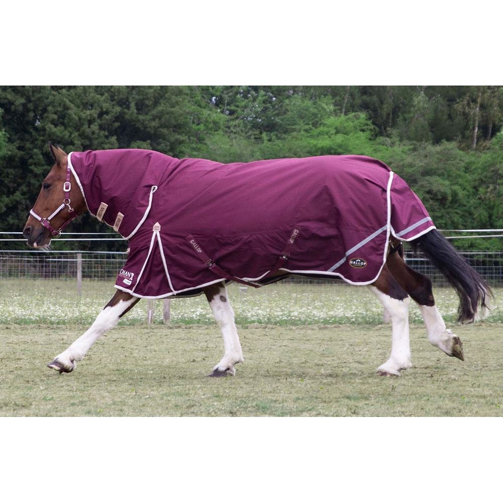 Gallop TROJAN Xtra Duraproof 100g Turnout Combo (Burgundy with Beige/White bindings)