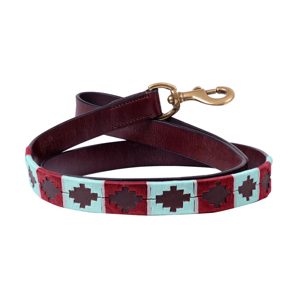 Benji & Flo Sublime Polo Leather Dog Lead (Aqua/Fig)