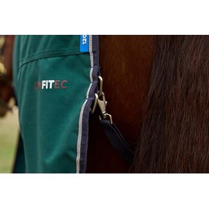 Weatherbeeta Comfitec Plus Dynamic Turnout Detach-A-Neck - 100g (Forest Green/Navy)