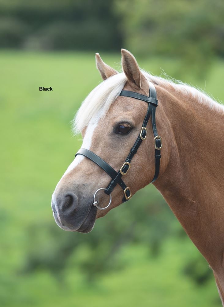 Shires Velociti GARA (Blenheim) Plain Inhand Bridle