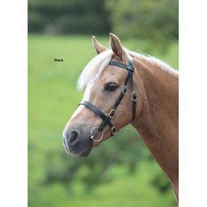 Shires Velociti GARA (Blenheim) Plain Inhand Bridle