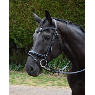 Rhinegold Italia Luxury Anatomical Flash Bridle