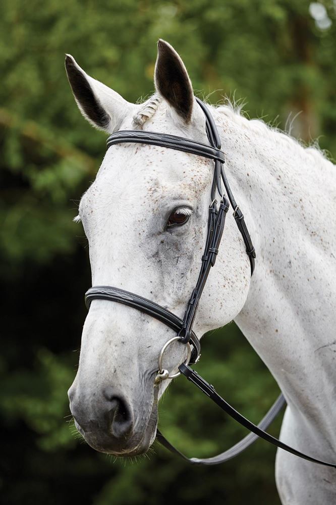 Kincade Raised Padded Fancy Stitch Cavesson Bridle