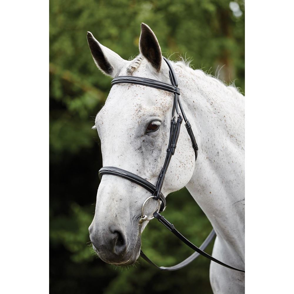 Kincade Raised Padded Fancy Stitch Cavesson Bridle