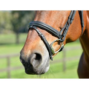 Weatherbeeta Collegiate Comfitec Opulux Plain Padded Hanoverian Flash Bridle