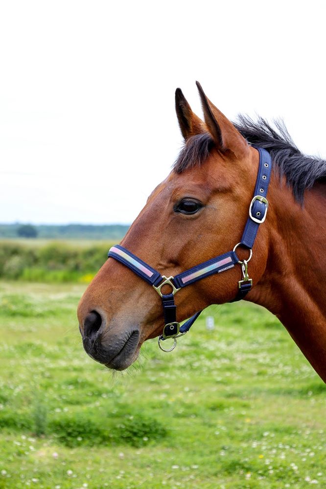 Hy Equestrian Mystic Head Collar (Navy/Rainbow Dust)