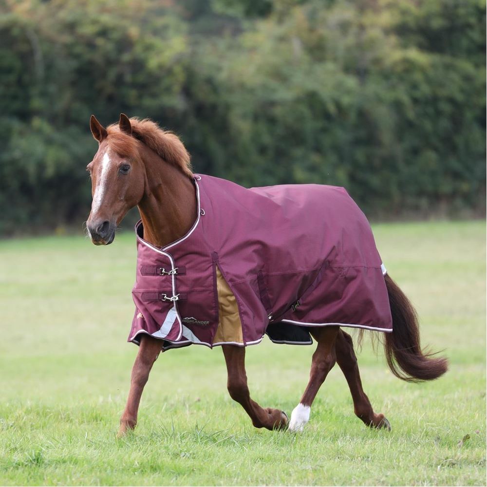 Shires Highlander Plus 100 Turnout Rug (Maroon)