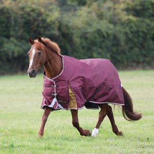 Shires Highlander Plus 100 Turnout Rug (Maroon)