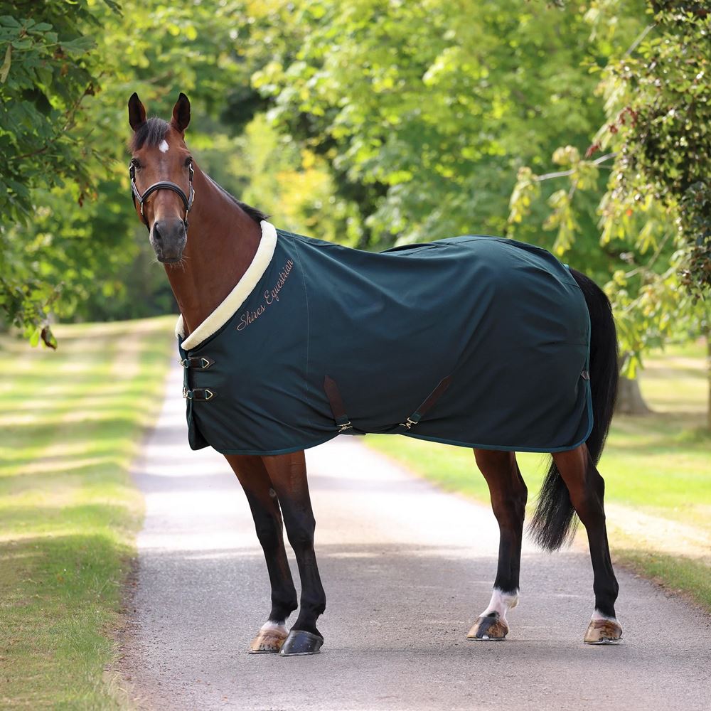 Shires Deluxe Stable Sheet (Green)