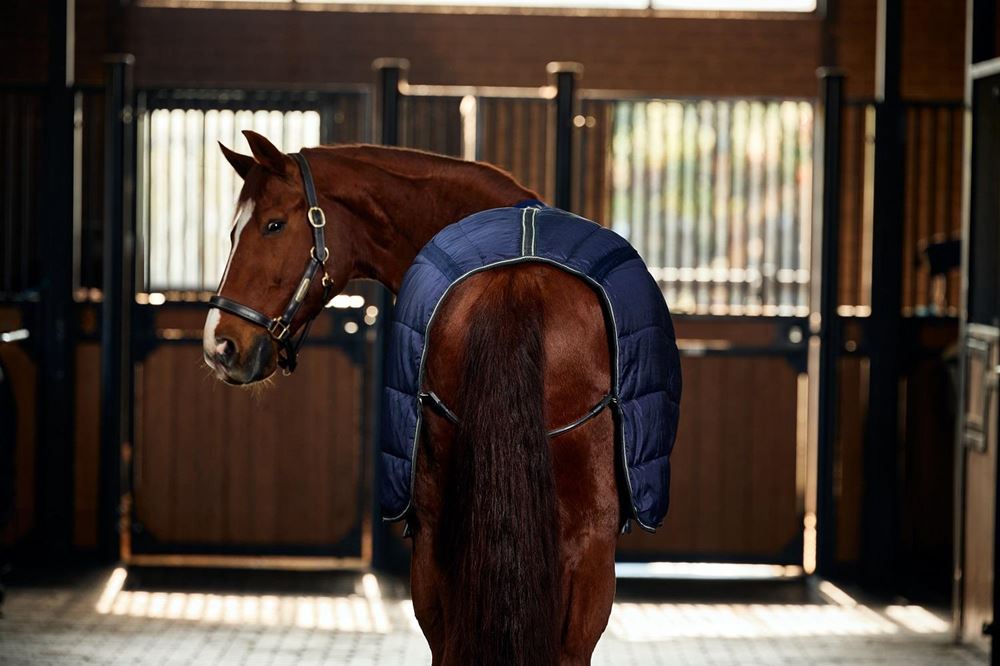 Weatherbeeta Anti-Static Fleece Cooler Standard (Navy/Burgundy)