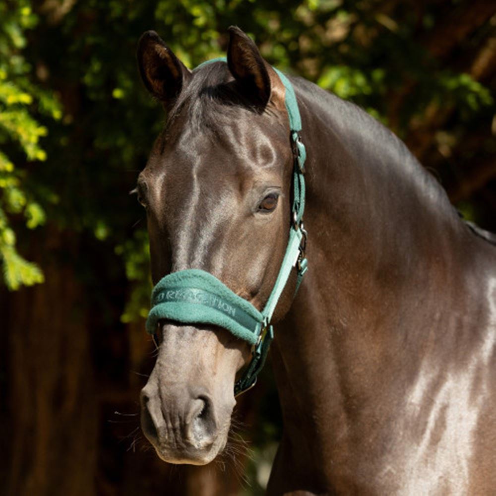 ProReaction Dura Fleece Head Collar by Hy Equestrian (Hunter Green)