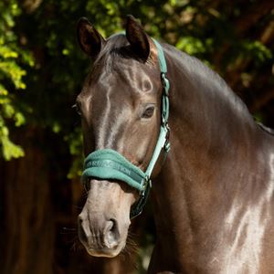 ProReaction Dura Fleece Head Collar by Hy Equestrian (Hunter Green)