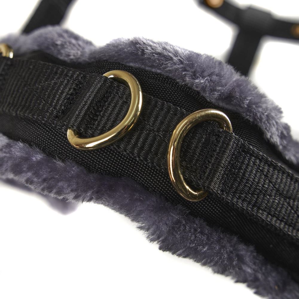 Shires Arma Fleece Lined Lunge Cavesson (Black)