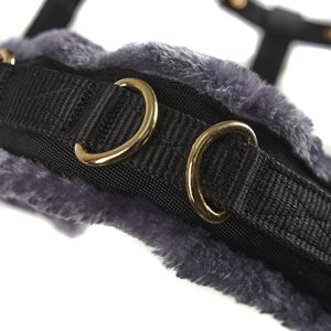 Shires Arma Fleece Lined Lunge Cavesson (Black)