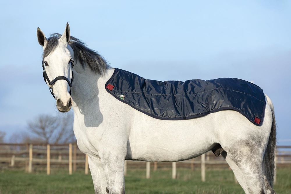 Rambo Summer Series Turnout (Grey/Burgundy, Black & Burgundy)